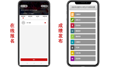 乒乓赛事管理平台
